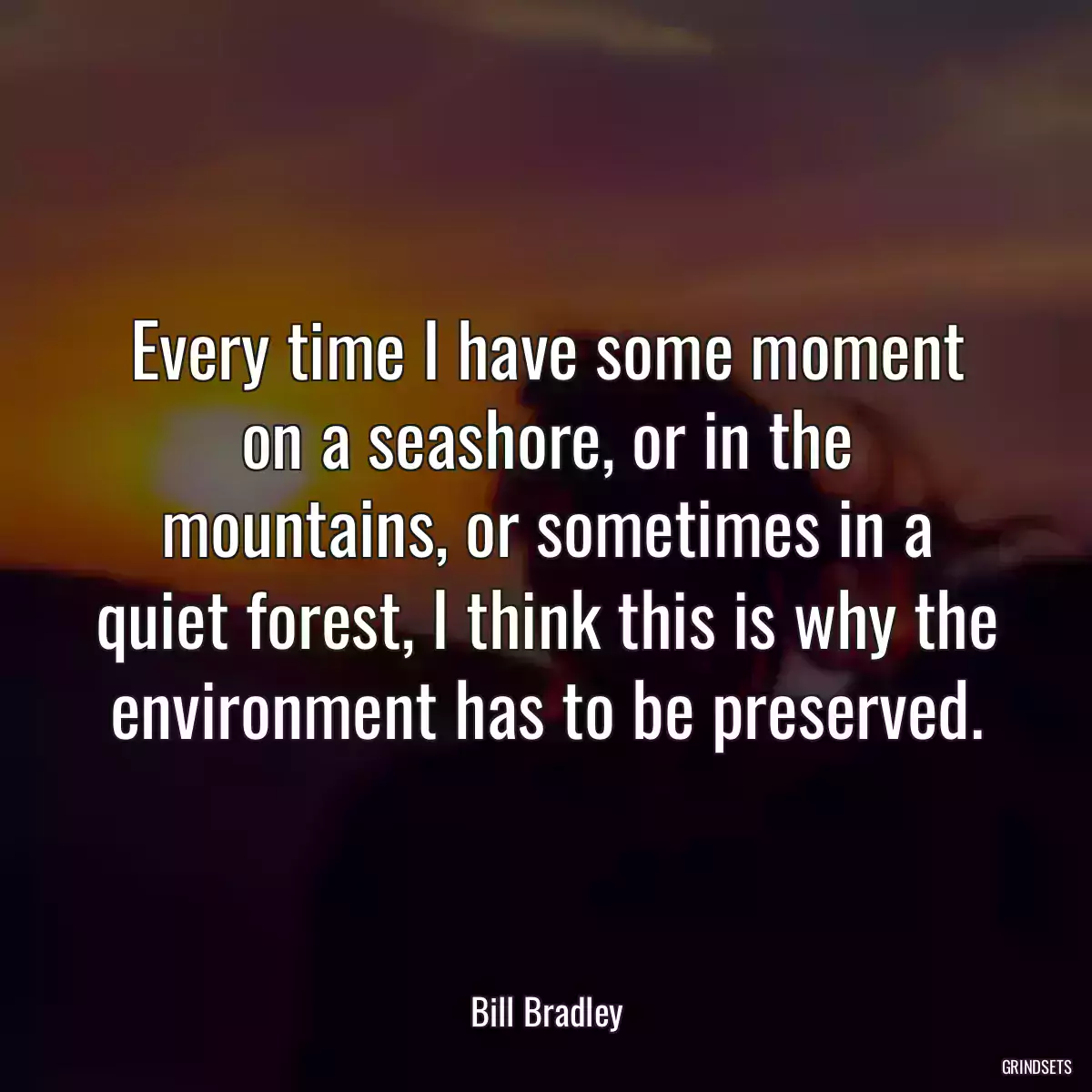 Every time I have some moment on a seashore, or in the mountains, or sometimes in a quiet forest, I think this is why the environment has to be preserved.