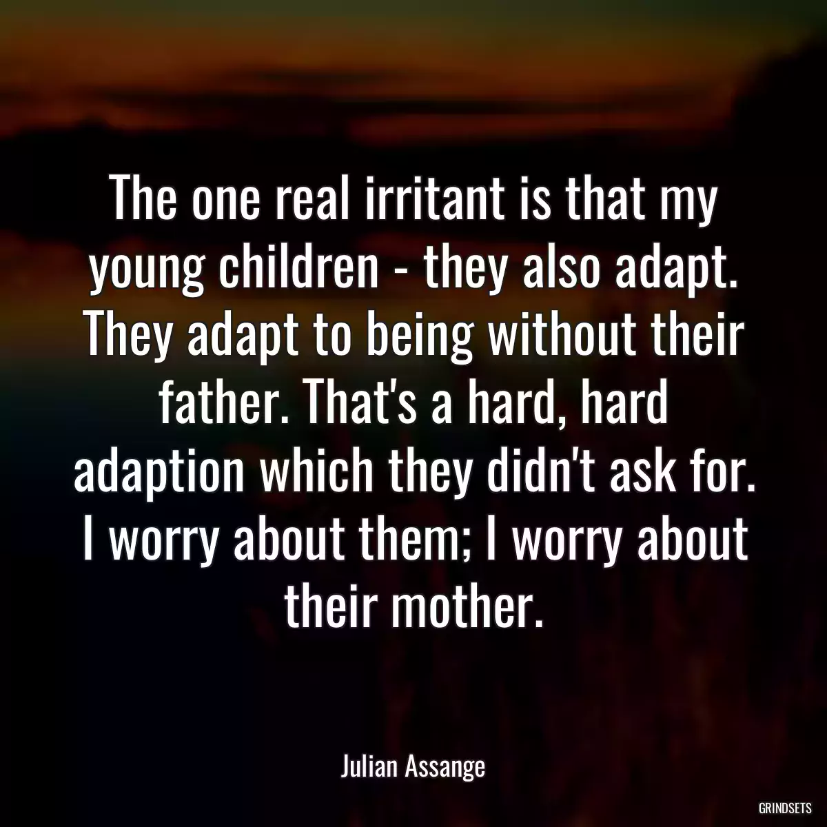 The one real irritant is that my young children - they also adapt. They adapt to being without their father. That\'s a hard, hard adaption which they didn\'t ask for. I worry about them; I worry about their mother.