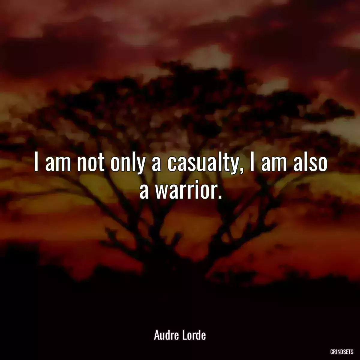 I am not only a casualty, I am also a warrior.