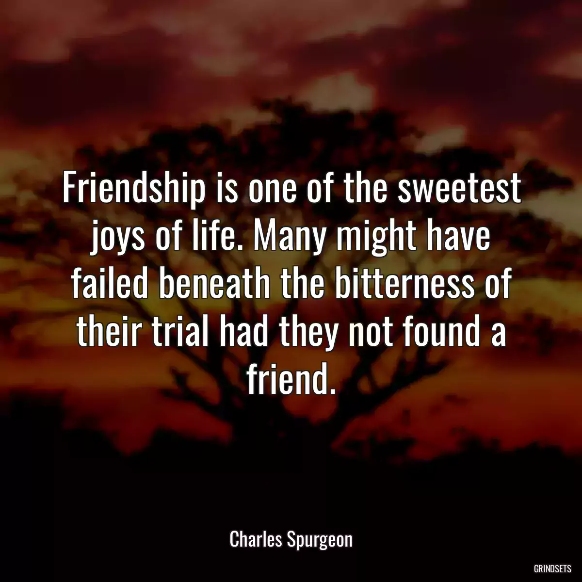 Friendship is one of the sweetest joys of life. Many might have failed beneath the bitterness of their trial had they not found a friend.