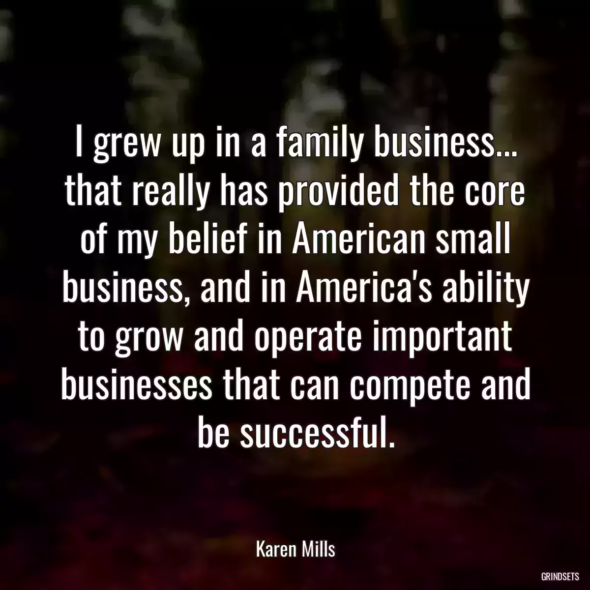 I grew up in a family business... that really has provided the core of my belief in American small business, and in America\'s ability to grow and operate important businesses that can compete and be successful.