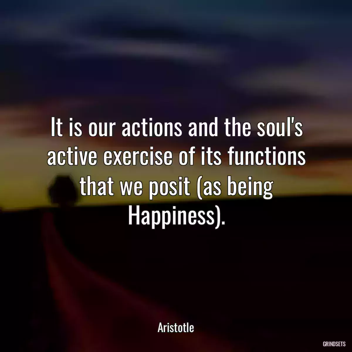 It is our actions and the soul\'s active exercise of its functions that we posit (as being Happiness).