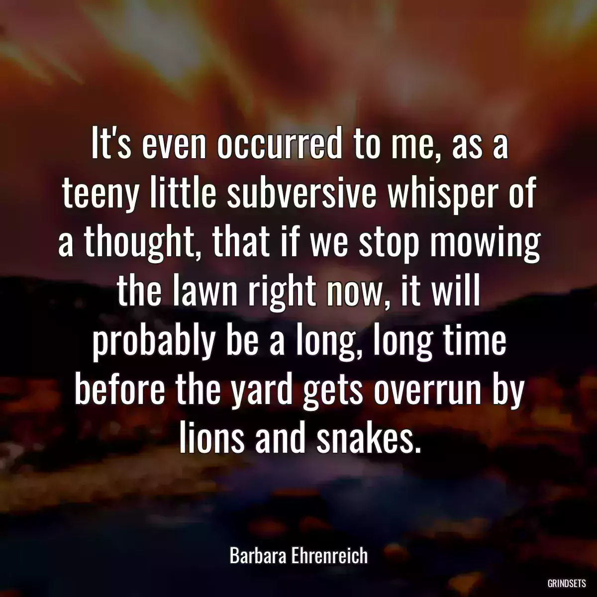 It\'s even occurred to me, as a teeny little subversive whisper of a thought, that if we stop mowing the lawn right now, it will probably be a long, long time before the yard gets overrun by lions and snakes.