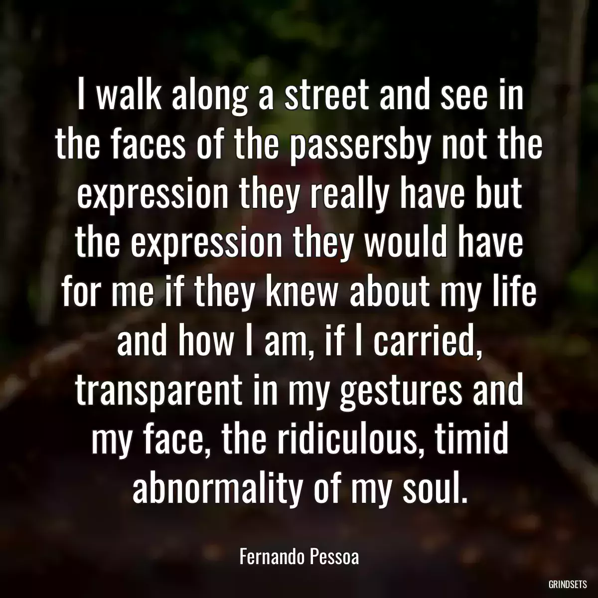 I walk along a street and see in the faces of the passersby not the expression they really have but the expression they would have for me if they knew about my life and how I am, if I carried, transparent in my gestures and my face, the ridiculous, timid abnormality of my soul.