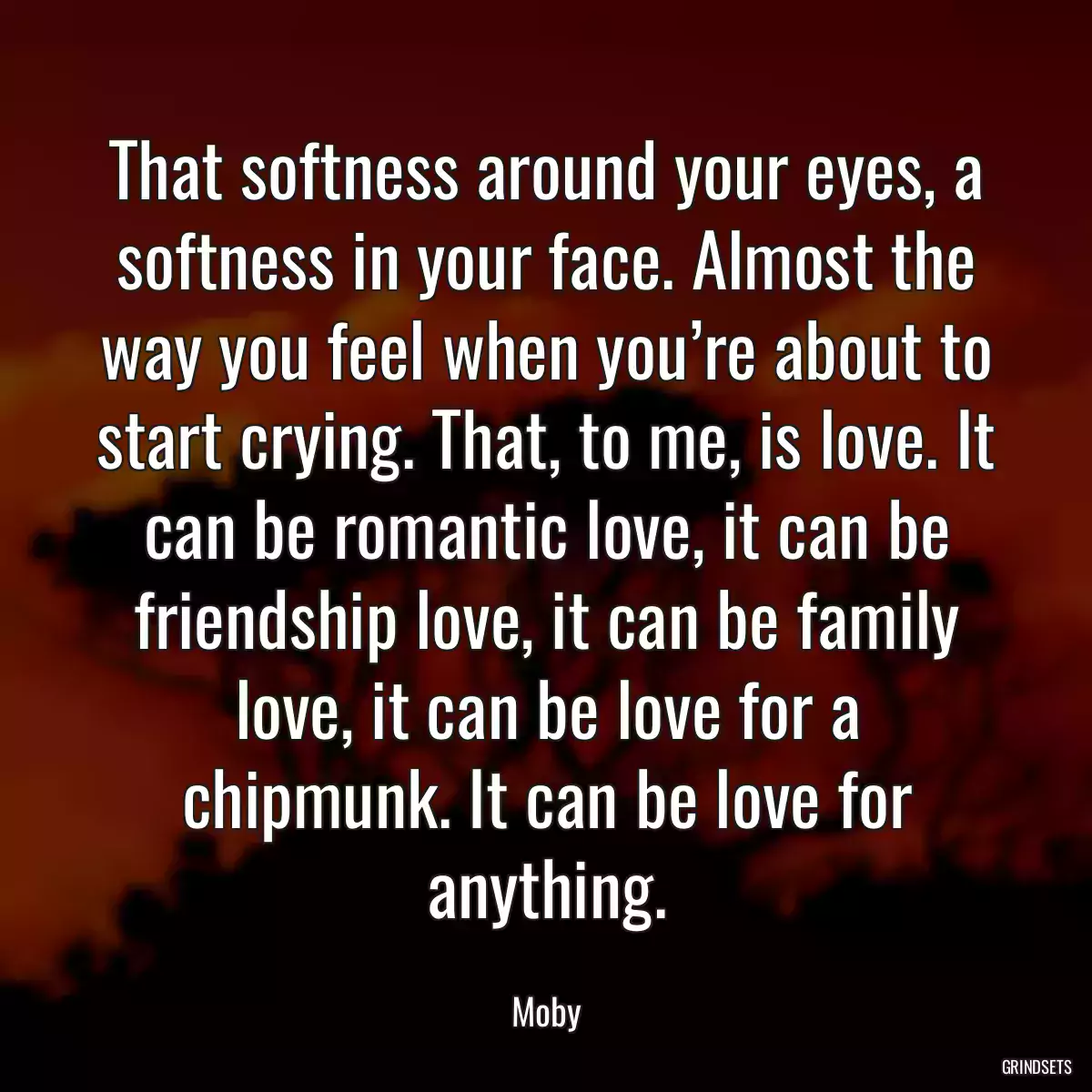 That softness around your eyes, a softness in your face. Almost the way you feel when you’re about to start crying. That, to me, is love. It can be romantic love, it can be friendship love, it can be family love, it can be love for a chipmunk. It can be love for anything.