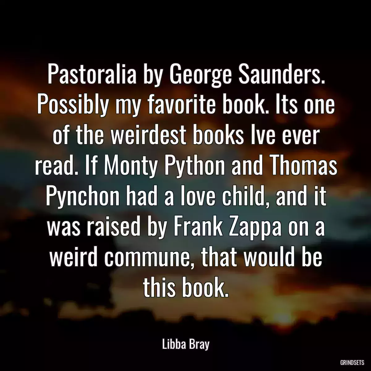 Pastoralia by George Saunders. Possibly my favorite book. Its one of the weirdest books Ive ever read. If Monty Python and Thomas Pynchon had a love child, and it was raised by Frank Zappa on a weird commune, that would be this book.