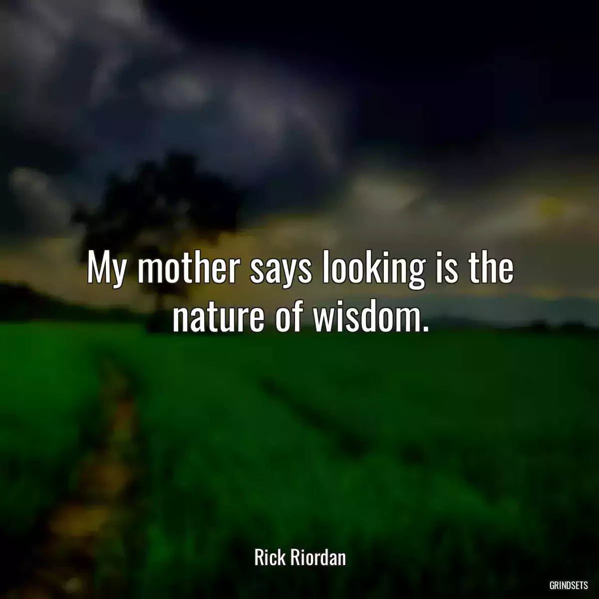 My mother says looking is the nature of wisdom.