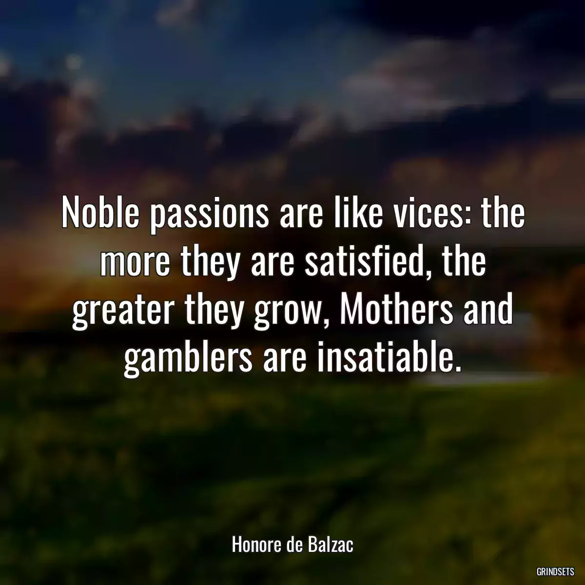 Noble passions are like vices: the more they are satisfied, the greater they grow, Mothers and gamblers are insatiable.