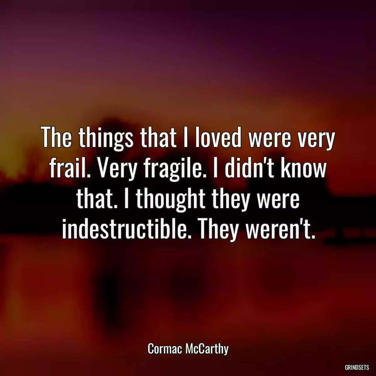 The things that I loved were very frail. Very fragile. I didn\'t know that. I thought they were indestructible. They weren\'t.