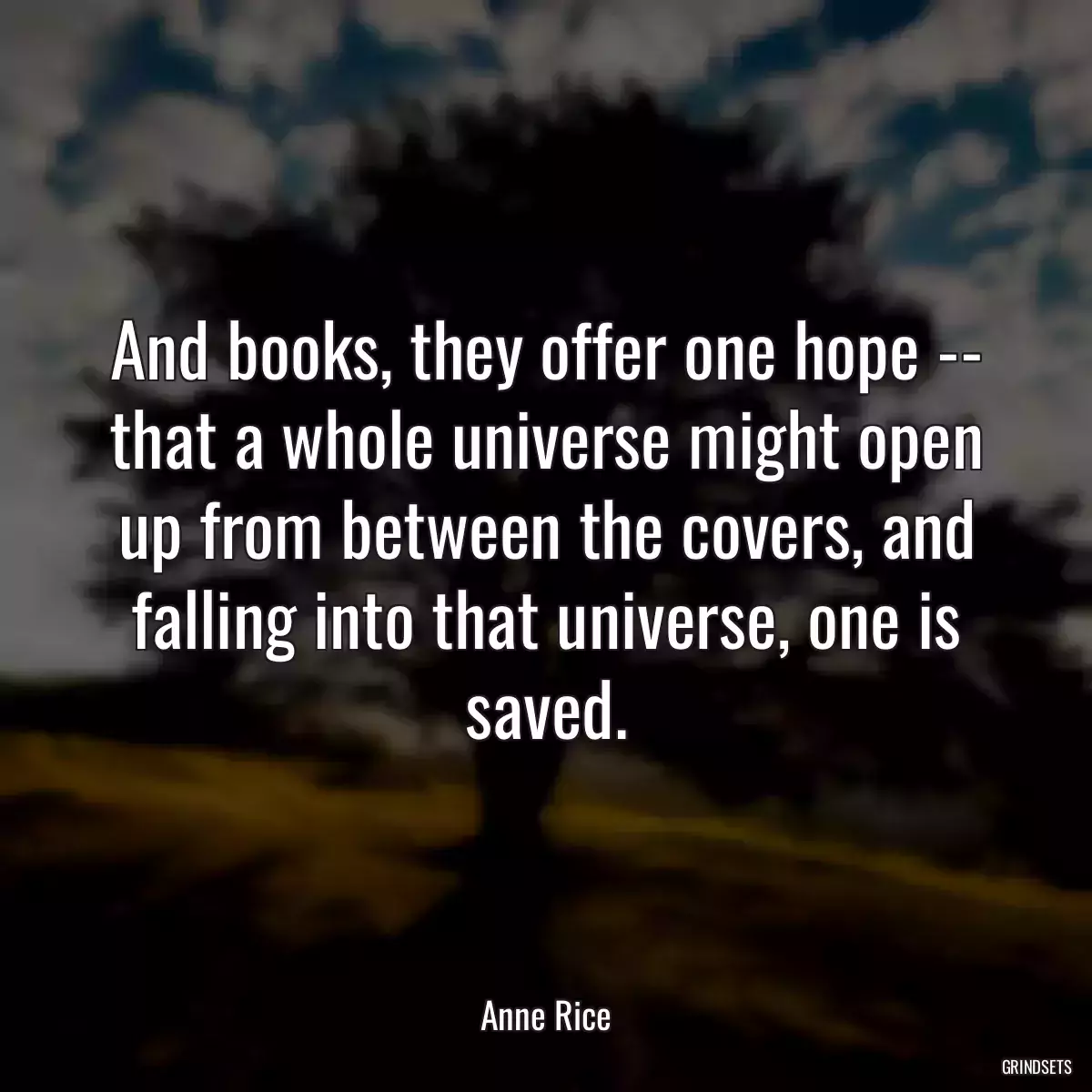 And books, they offer one hope -- that a whole universe might open up from between the covers, and falling into that universe, one is saved.