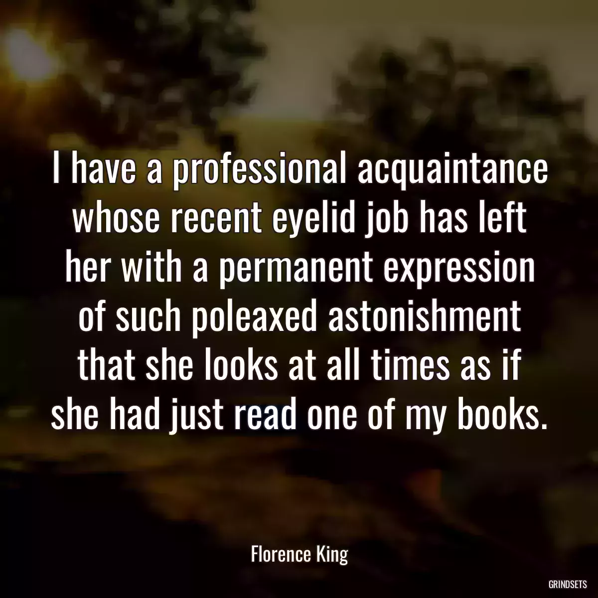 I have a professional acquaintance whose recent eyelid job has left her with a permanent expression of such poleaxed astonishment that she looks at all times as if she had just read one of my books.