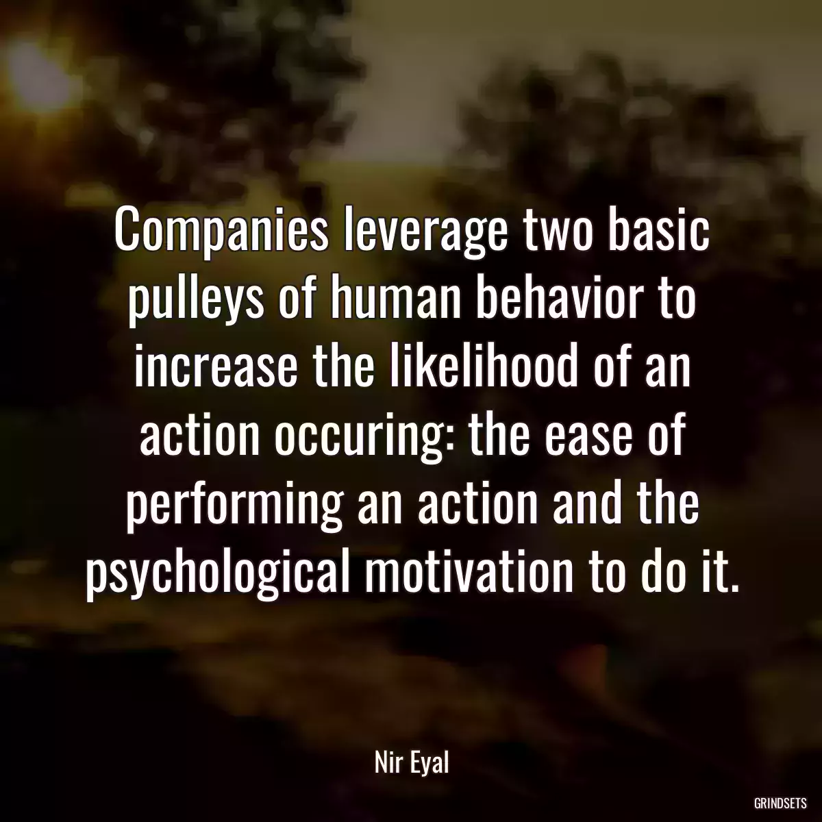 Companies leverage two basic pulleys of human behavior to increase the likelihood of an action occuring: the ease of performing an action and the psychological motivation to do it.