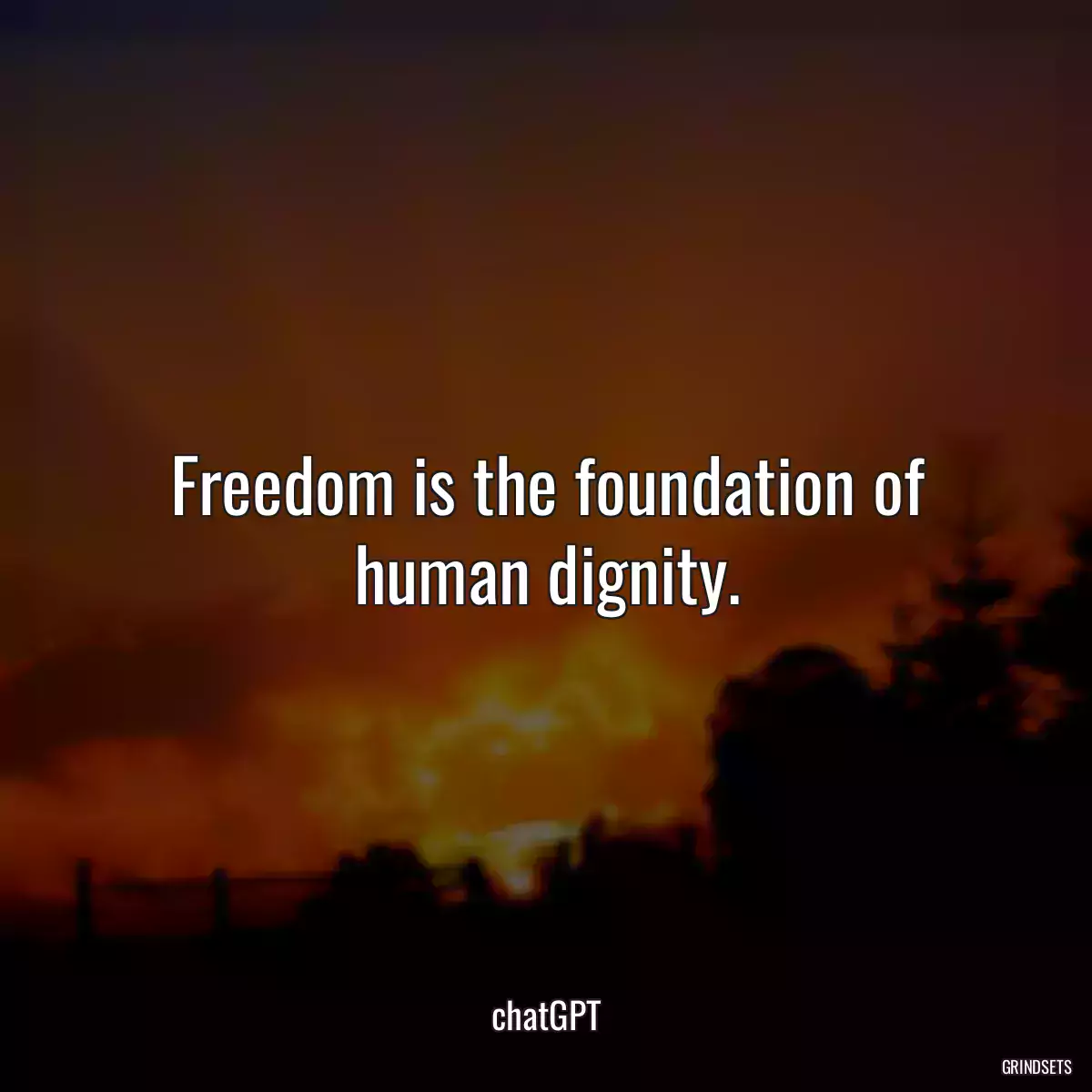 Freedom is the foundation of human dignity.