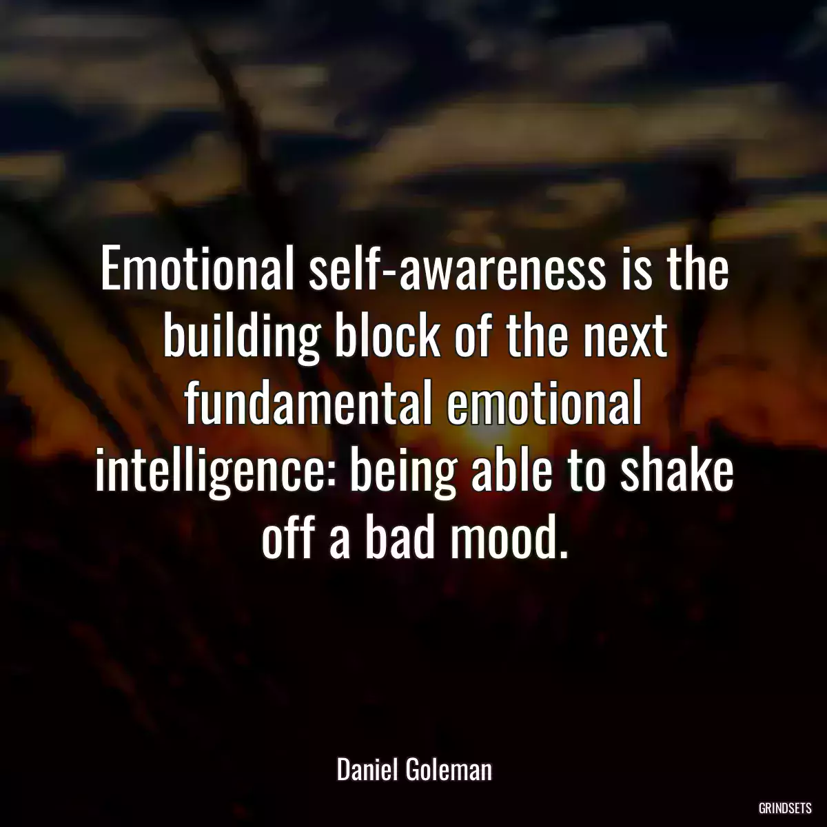 Emotional self-awareness is the building block of the next fundamental emotional intelligence: being able to shake off a bad mood.