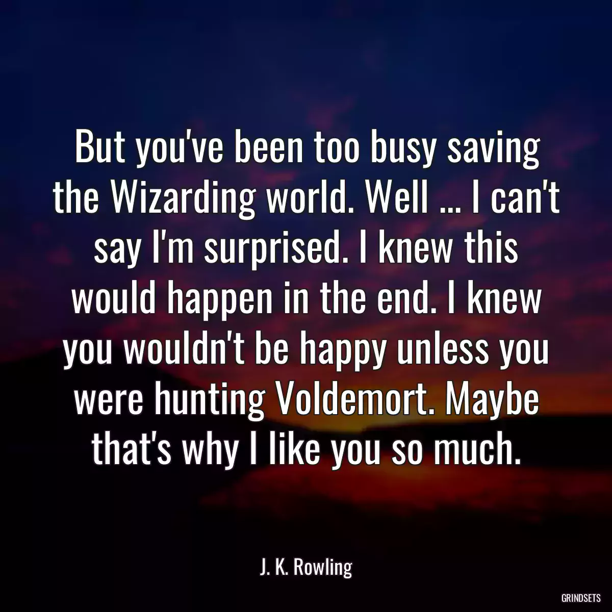 But you\'ve been too busy saving the Wizarding world. Well ... I can\'t say I\'m surprised. I knew this would happen in the end. I knew you wouldn\'t be happy unless you were hunting Voldemort. Maybe that\'s why I like you so much.