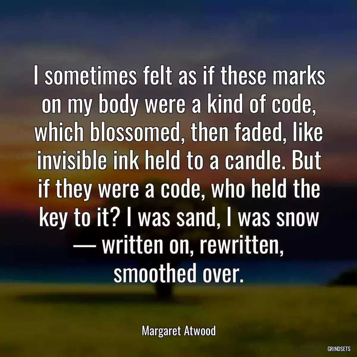 I sometimes felt as if these marks on my body were a kind of code, which blossomed, then faded, like invisible ink held to a candle. But if they were a code, who held the key to it? I was sand, I was snow — written on, rewritten, smoothed over.