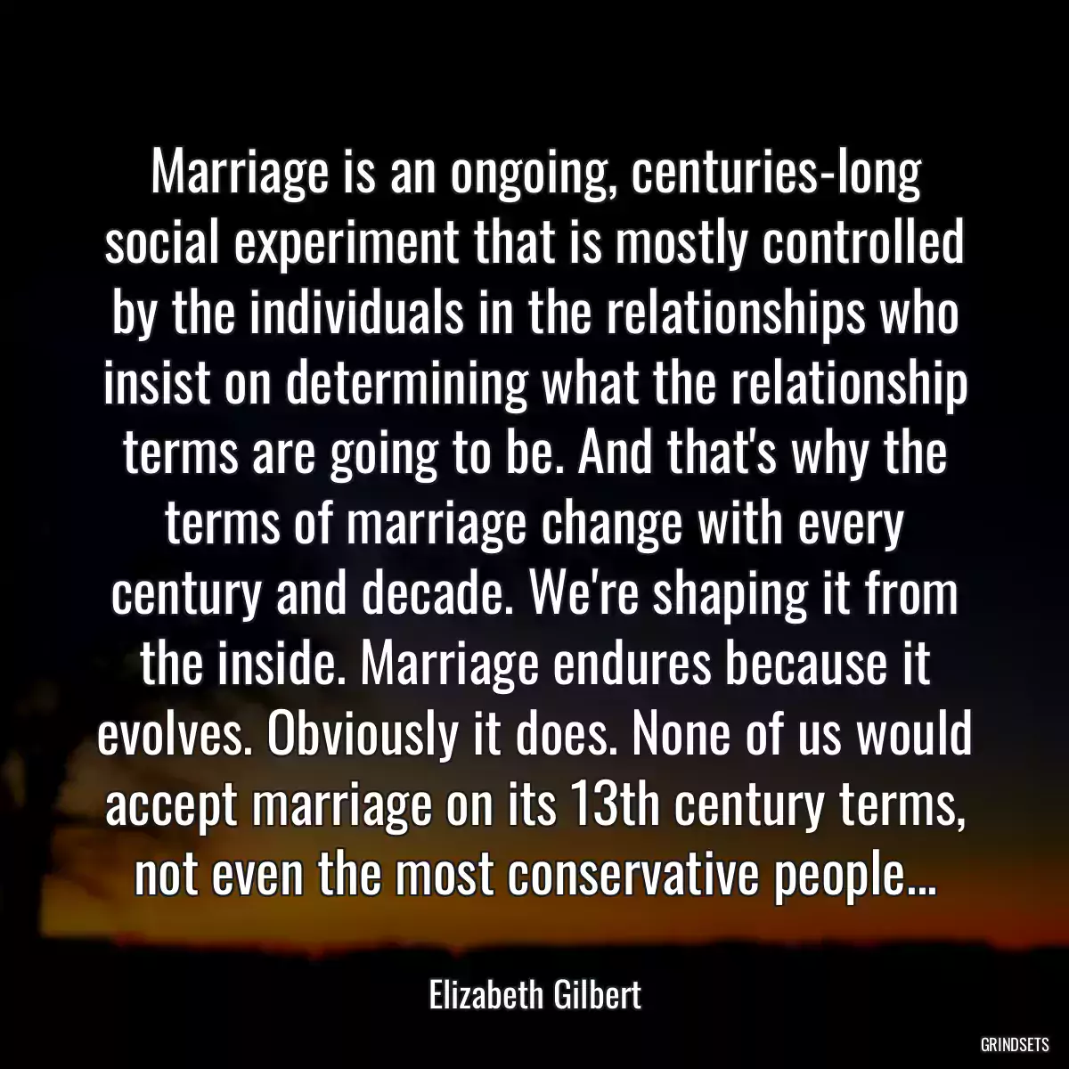 Marriage is an ongoing, centuries-long social experiment that is mostly controlled by the individuals in the relationships who insist on determining what the relationship terms are going to be. And that\'s why the terms of marriage change with every century and decade. We\'re shaping it from the inside. Marriage endures because it evolves. Obviously it does. None of us would accept marriage on its 13th century terms, not even the most conservative people...