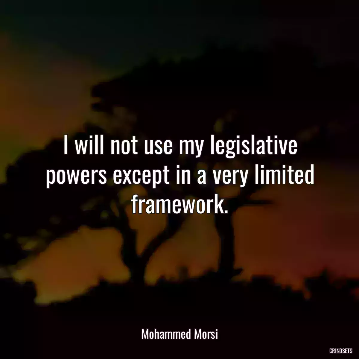 I will not use my legislative powers except in a very limited framework.