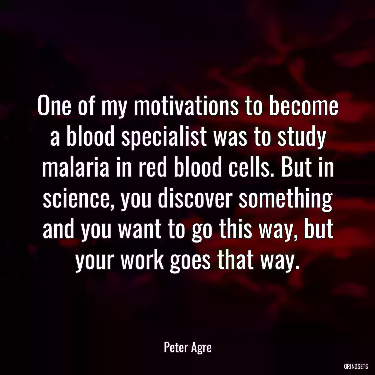 One of my motivations to become a blood specialist was to study malaria in red blood cells. But in science, you discover something and you want to go this way, but your work goes that way.