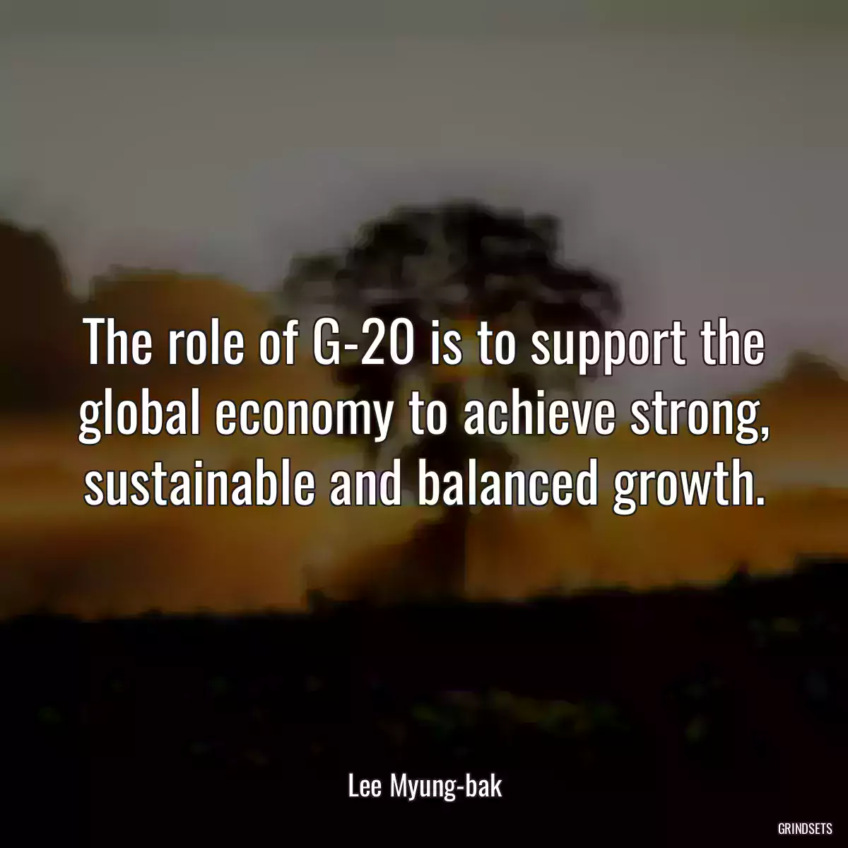 The role of G-20 is to support the global economy to achieve strong, sustainable and balanced growth.