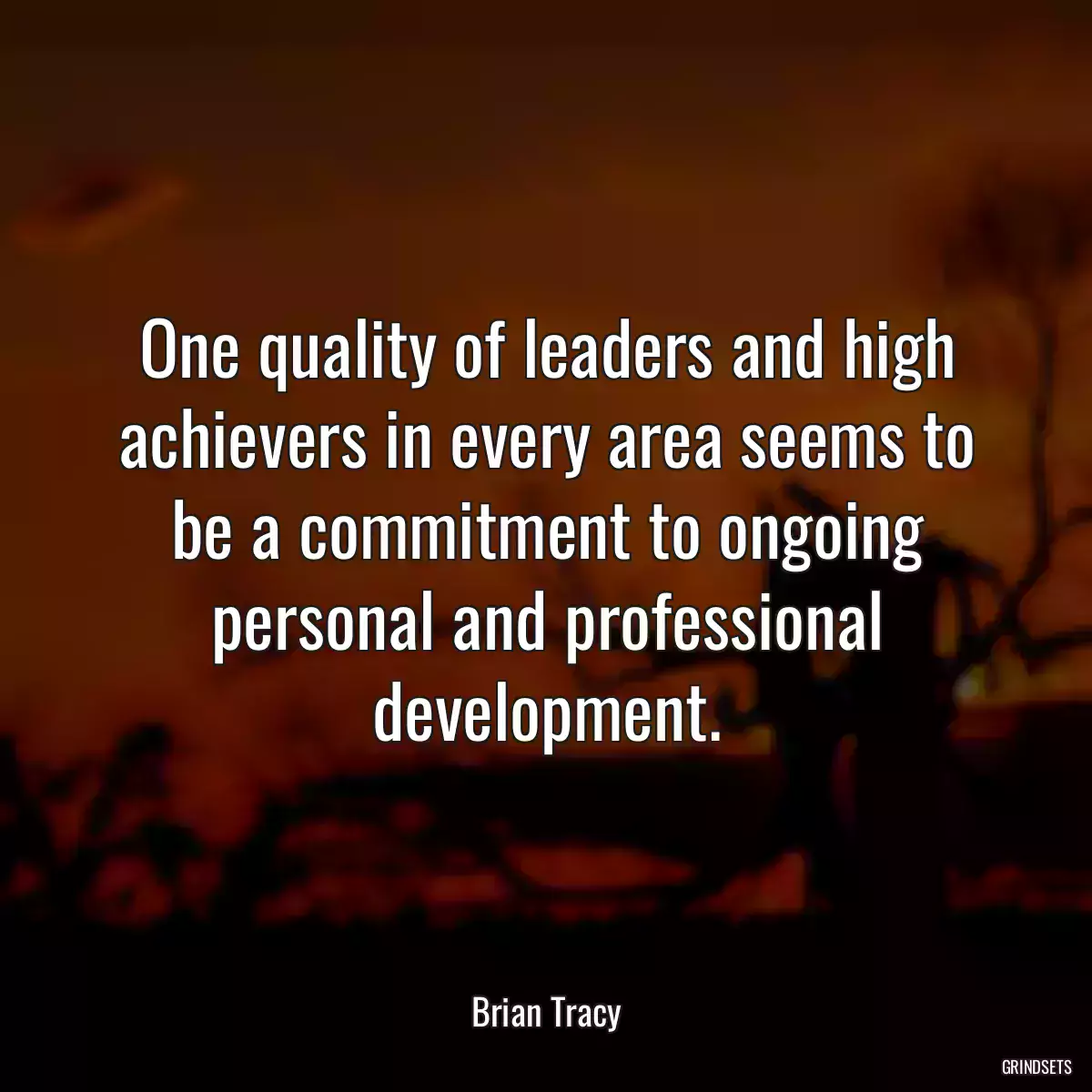 One quality of leaders and high achievers in every area seems to be a commitment to ongoing personal and professional development.