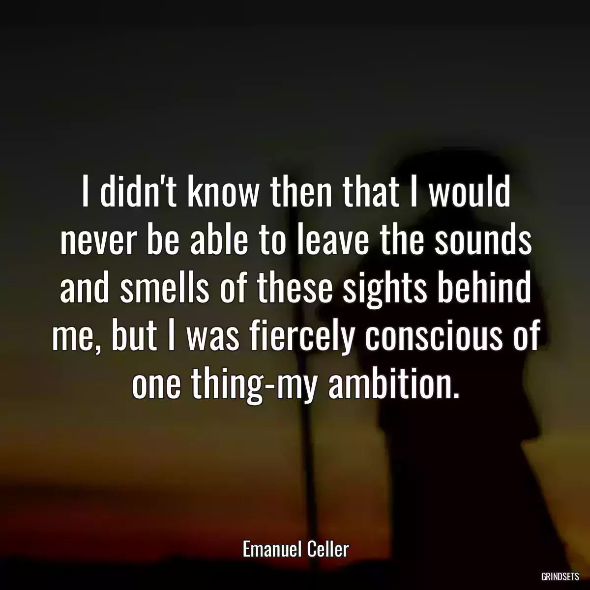 I didn\'t know then that I would never be able to leave the sounds and smells of these sights behind me, but I was fiercely conscious of one thing-my ambition.