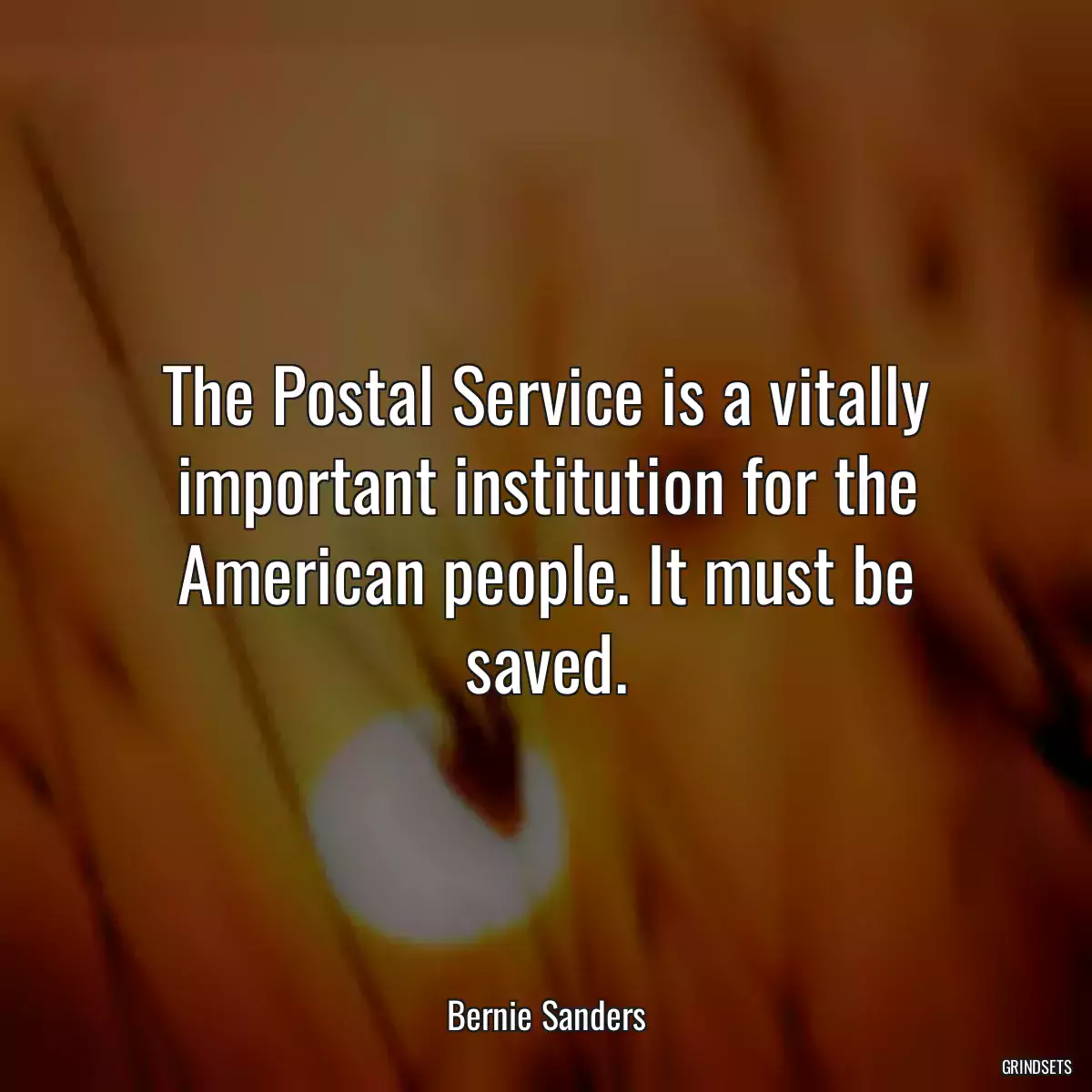 The Postal Service is a vitally important institution for the American people. It must be saved.