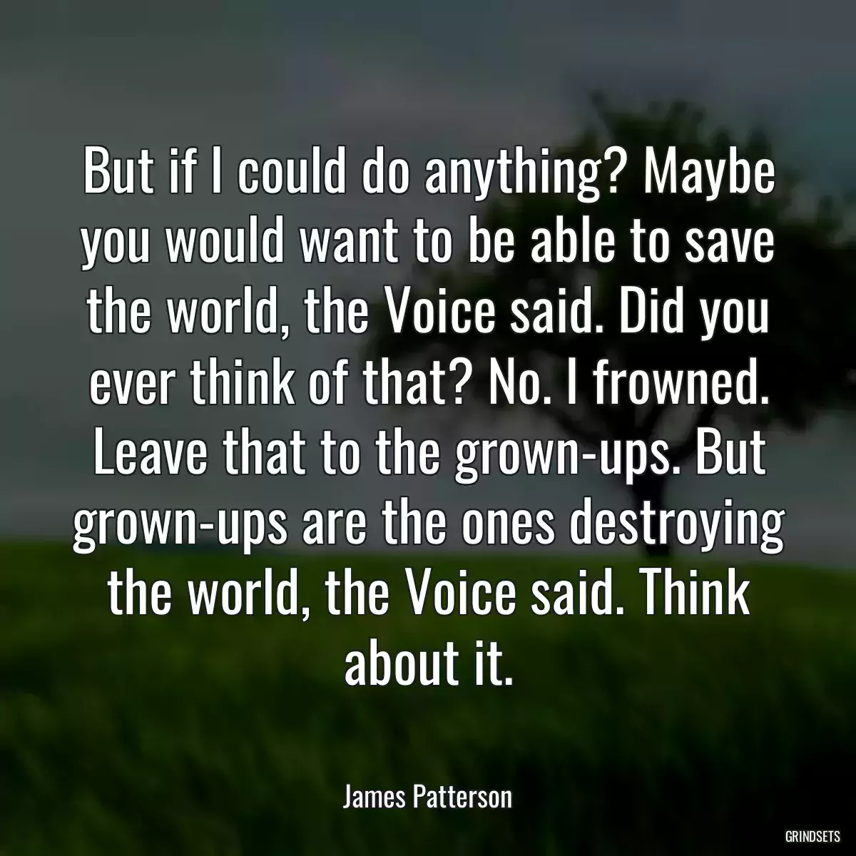 But if I could do anything? Maybe you would want to be able to save the world, the Voice said. Did you ever think of that? No. I frowned. Leave that to the grown-ups. But grown-ups are the ones destroying the world, the Voice said. Think about it.