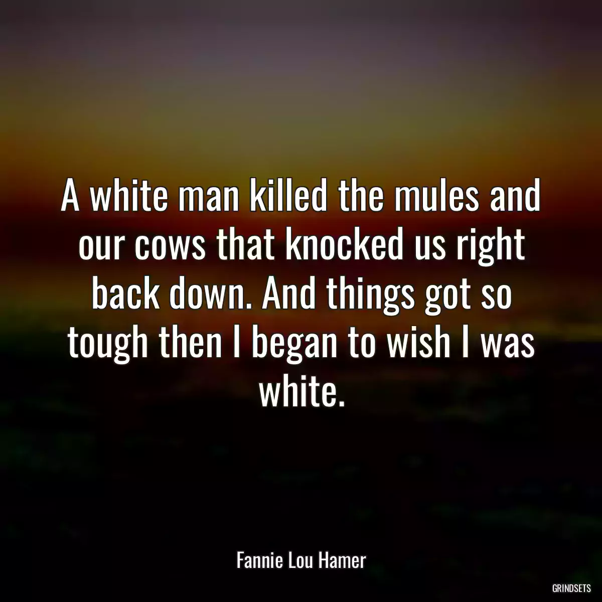 A white man killed the mules and our cows that knocked us right back down. And things got so tough then I began to wish I was white.