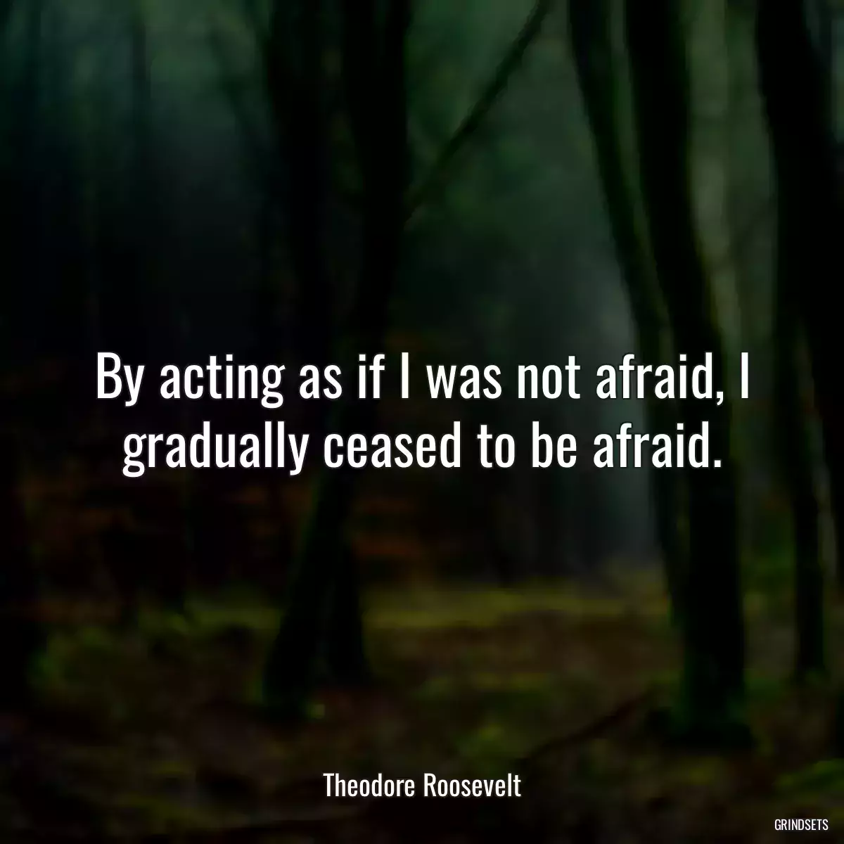 By acting as if I was not afraid, I gradually ceased to be afraid.