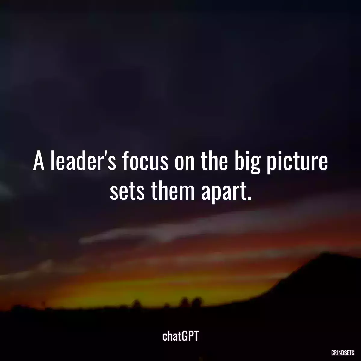 A leader\'s focus on the big picture sets them apart.