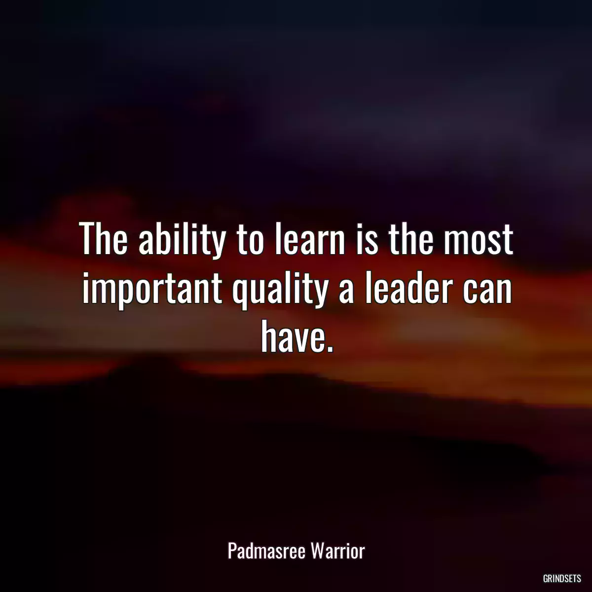 The ability to learn is the most important quality a leader can have.