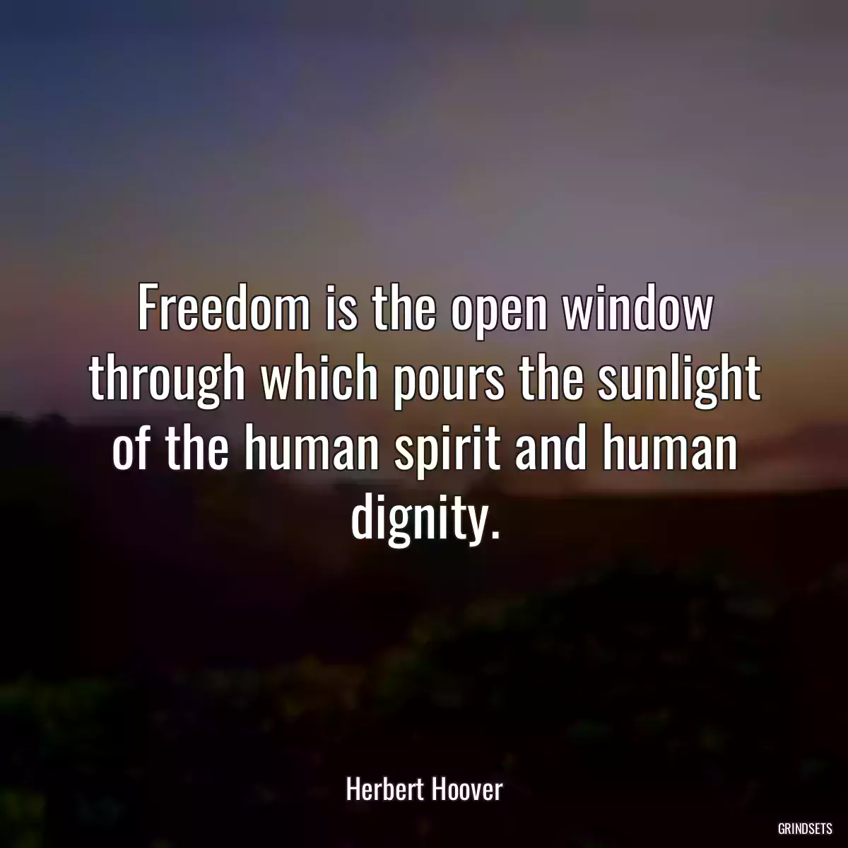 Freedom is the open window through which pours the sunlight of the human spirit and human dignity.