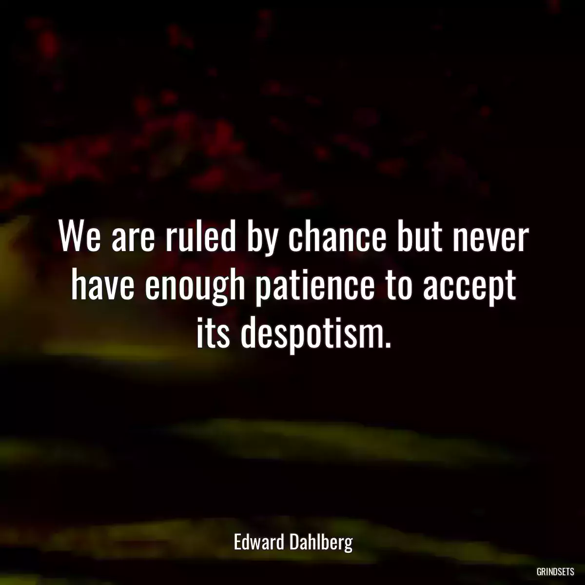 We are ruled by chance but never have enough patience to accept its despotism.