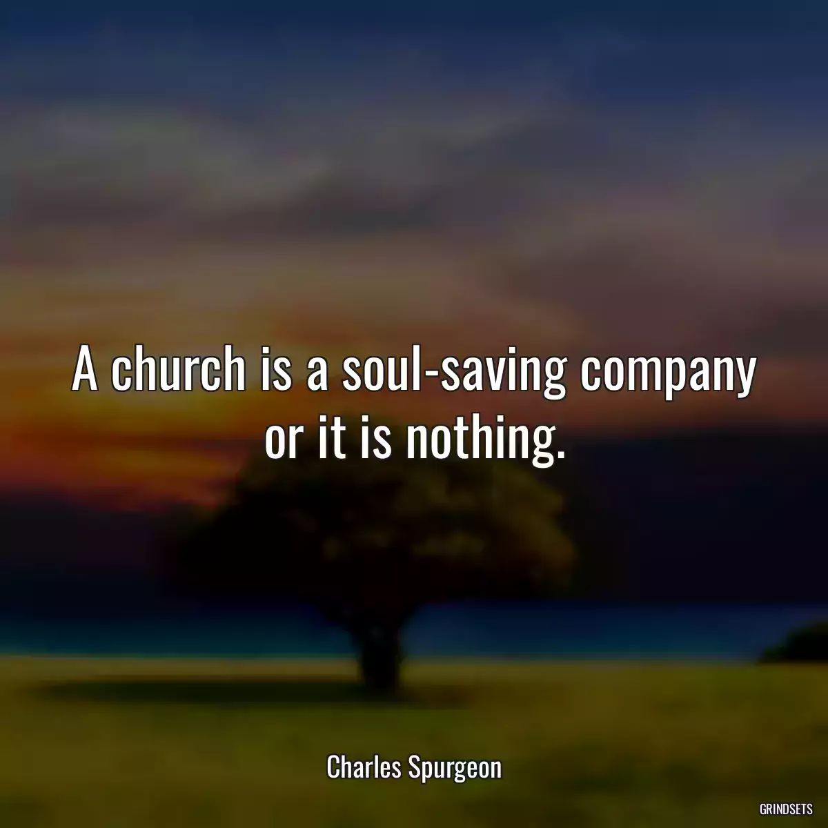 A church is a soul-saving company or it is nothing.