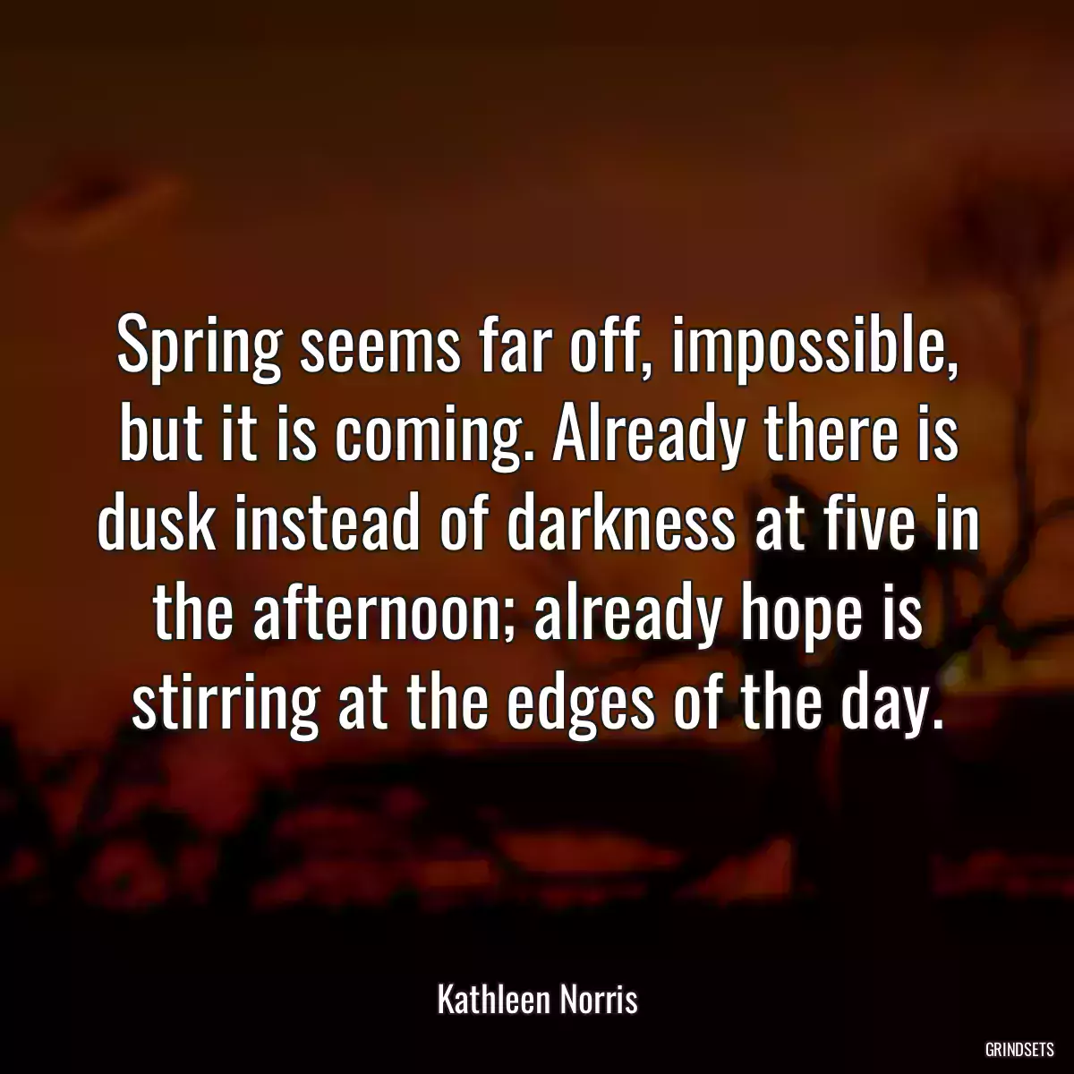 Spring seems far off, impossible, but it is coming. Already there is dusk instead of darkness at five in the afternoon; already hope is stirring at the edges of the day.