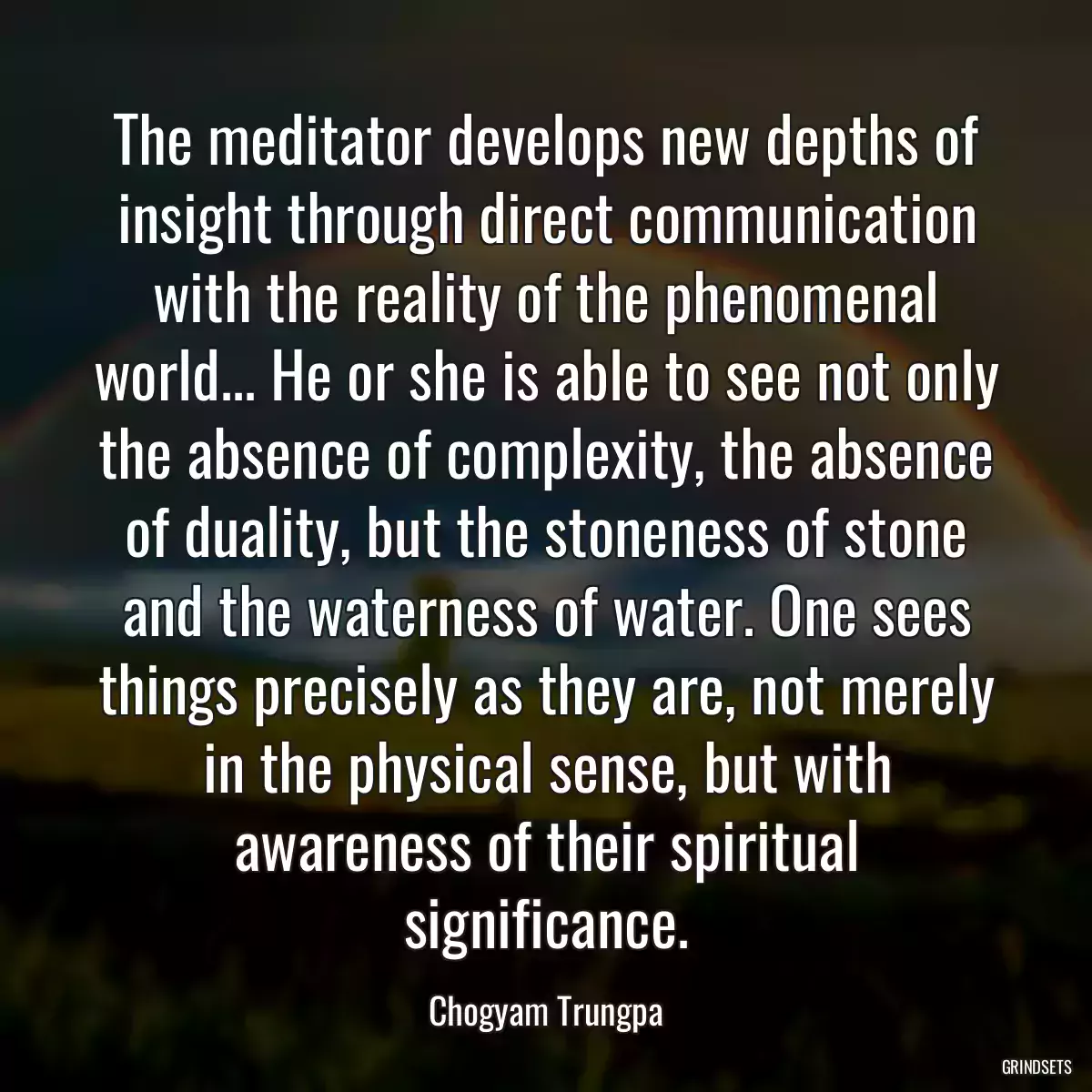 The meditator develops new depths of insight through direct communication with the reality of the phenomenal world... He or she is able to see not only the absence of complexity, the absence of duality, but the stoneness of stone and the waterness of water. One sees things precisely as they are, not merely in the physical sense, but with awareness of their spiritual significance.