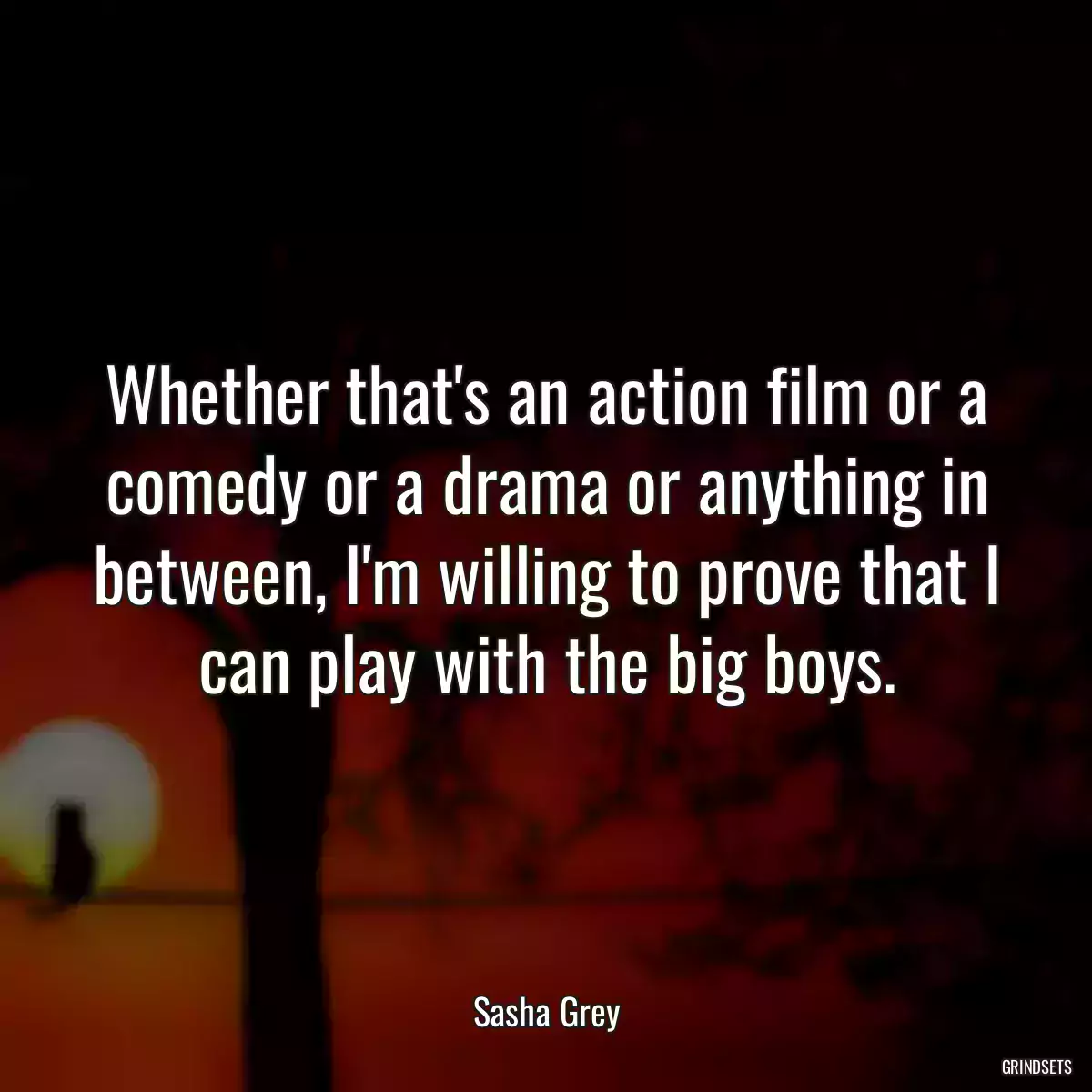 Whether that\'s an action film or a comedy or a drama or anything in between, I\'m willing to prove that I can play with the big boys.