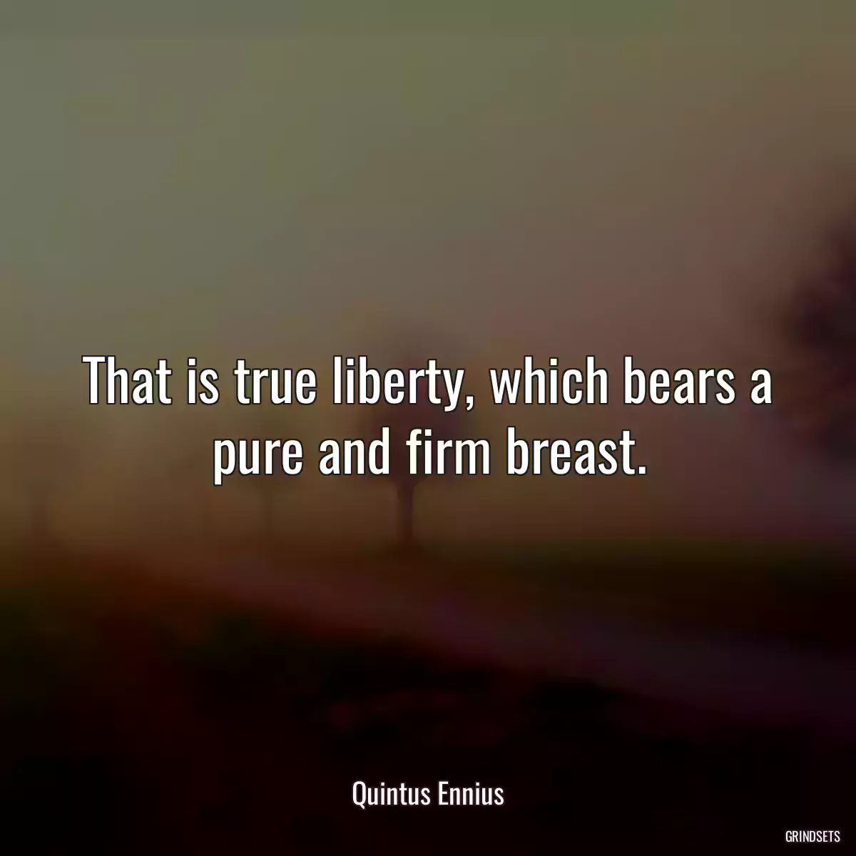 That is true liberty, which bears a pure and firm breast.