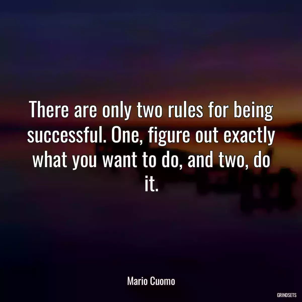 There are only two rules for being successful. One, figure out exactly what you want to do, and two, do it.