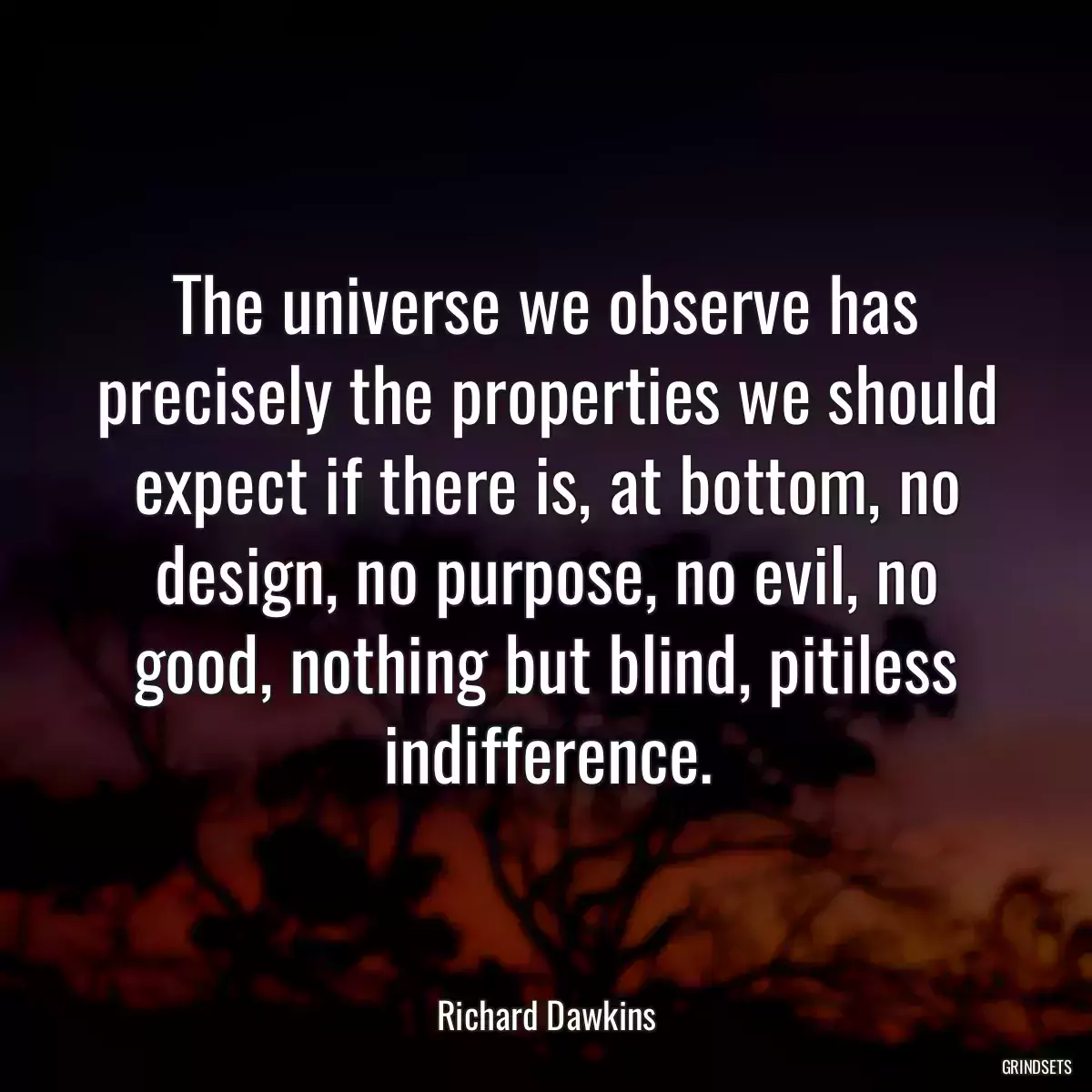 The universe we observe has precisely the properties we should expect if there is, at bottom, no design, no purpose, no evil, no good, nothing but blind, pitiless indifference.