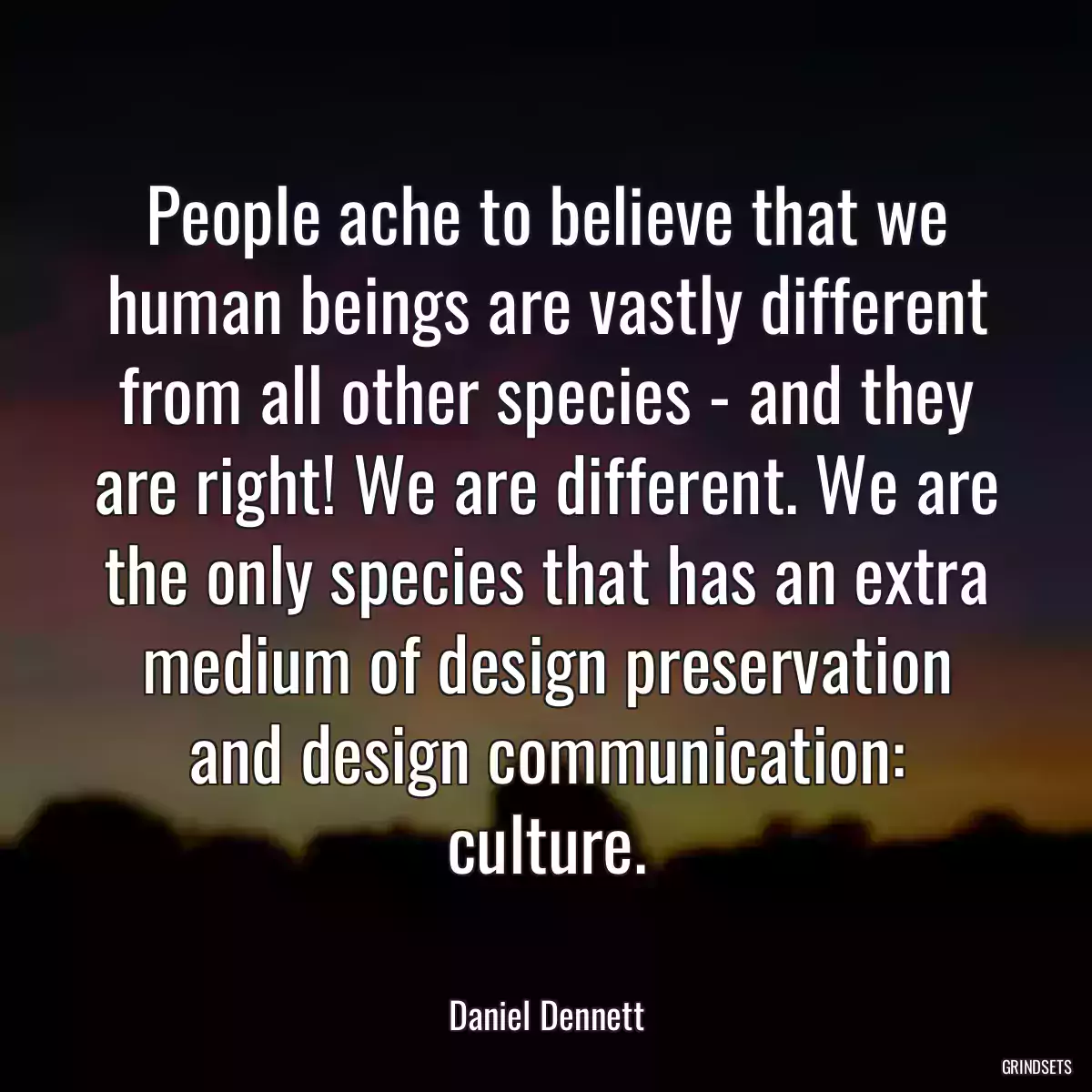 People ache to believe that we human beings are vastly different from all other species - and they are right! We are different. We are the only species that has an extra medium of design preservation and design communication: culture.