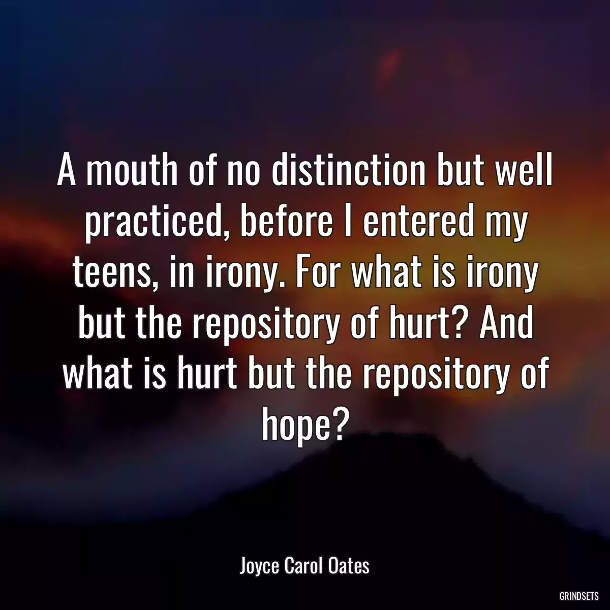 A mouth of no distinction but well practiced, before I entered my teens, in irony. For what is irony but the repository of hurt? And what is hurt but the repository of hope?