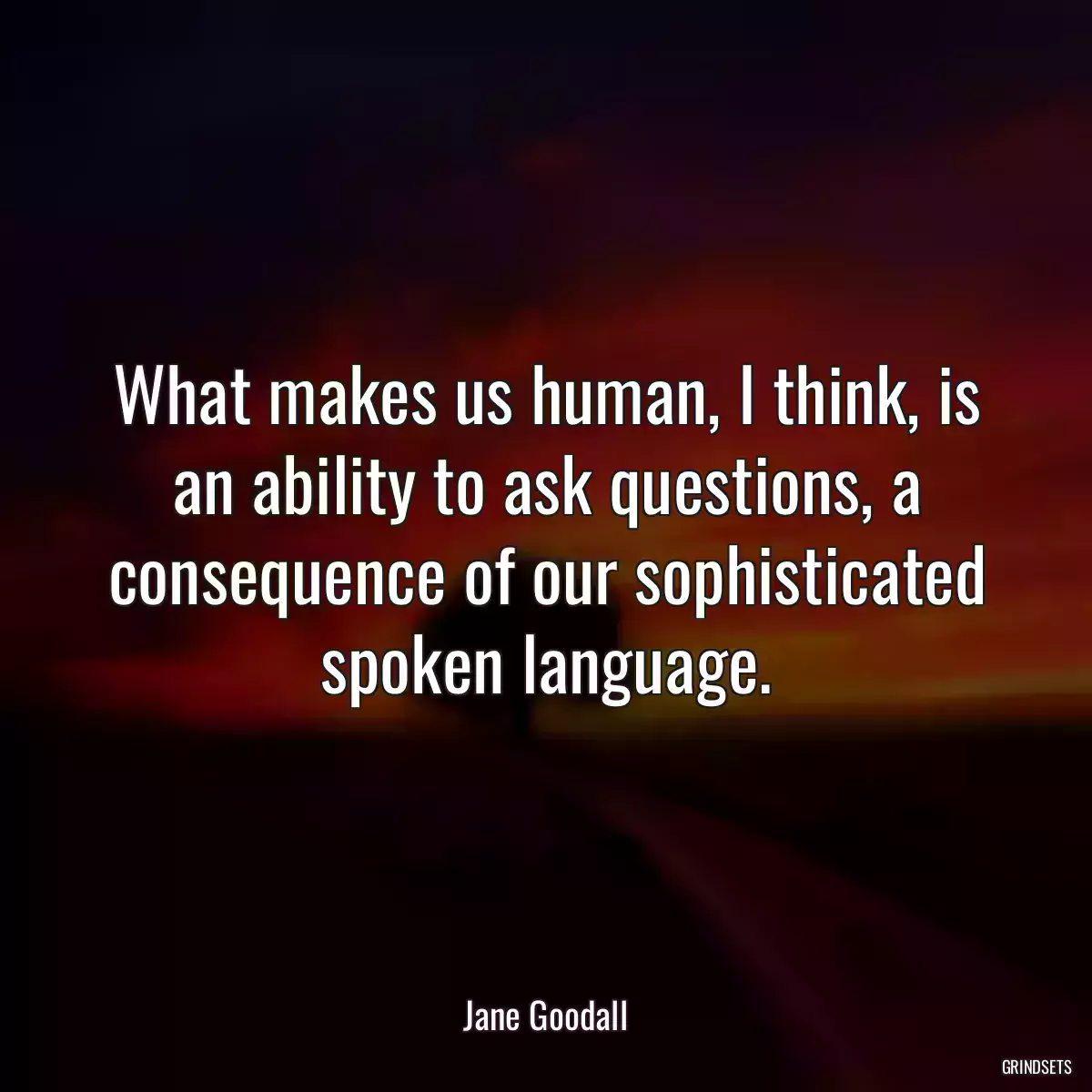 What makes us human, I think, is an ability to ask questions, a consequence of our sophisticated spoken language.