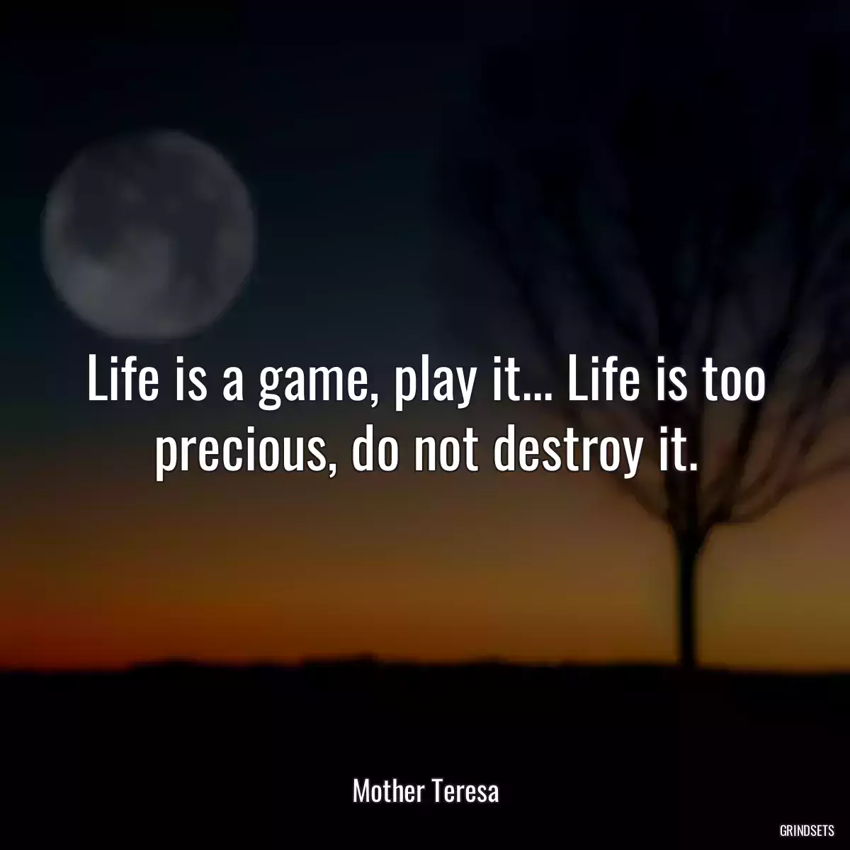 Life is a game, play it... Life is too precious, do not destroy it.