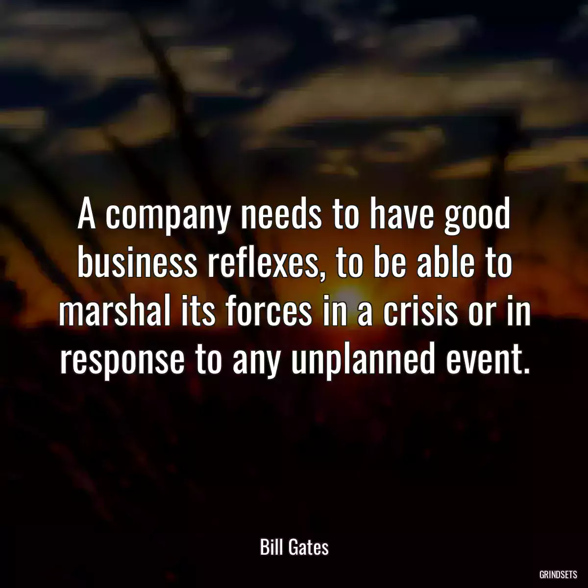 A company needs to have good business reflexes, to be able to marshal its forces in a crisis or in response to any unplanned event.