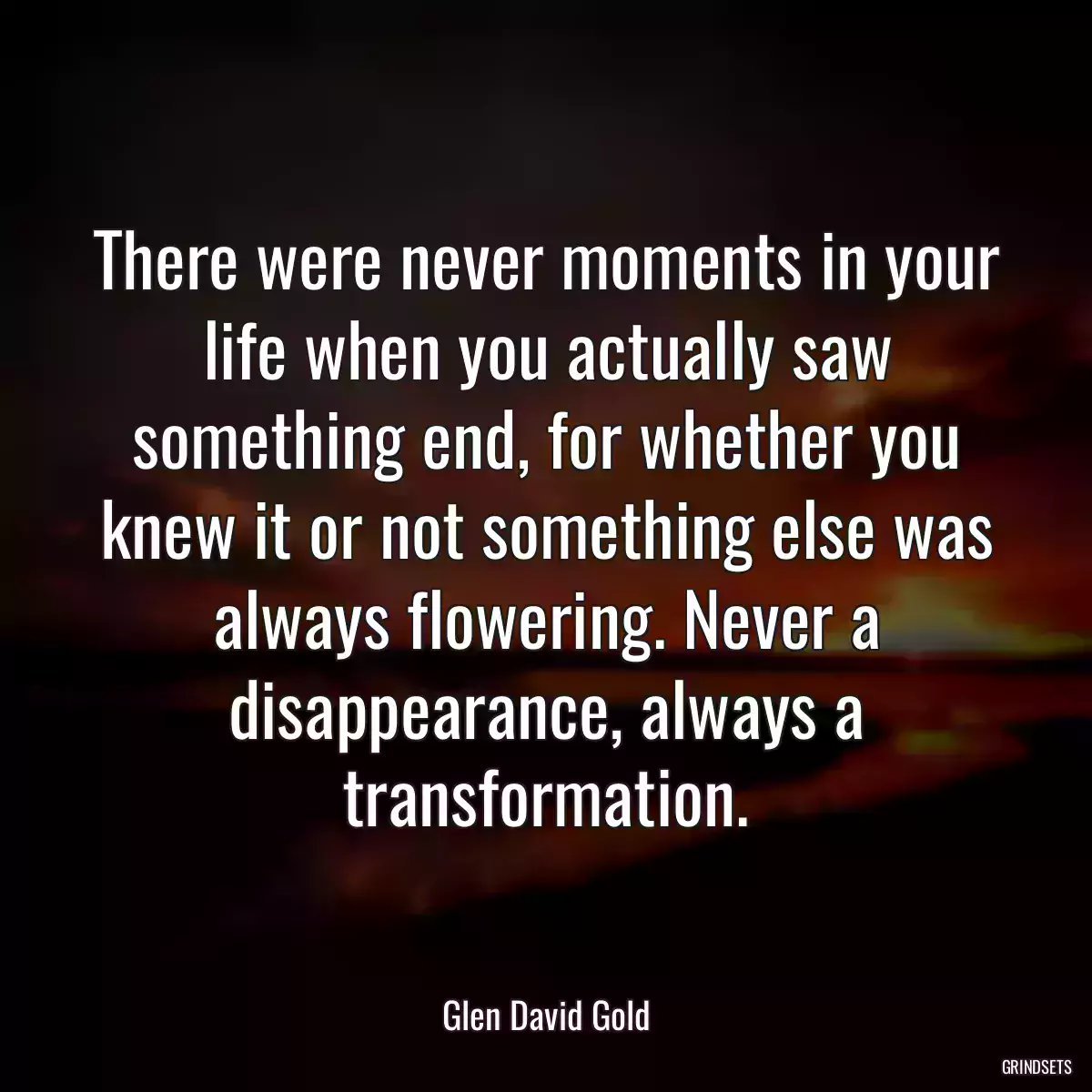 There were never moments in your life when you actually saw something end, for whether you knew it or not something else was always flowering. Never a disappearance, always a transformation.