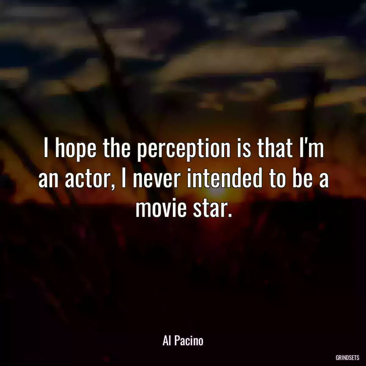 I hope the perception is that I\'m an actor, I never intended to be a movie star.