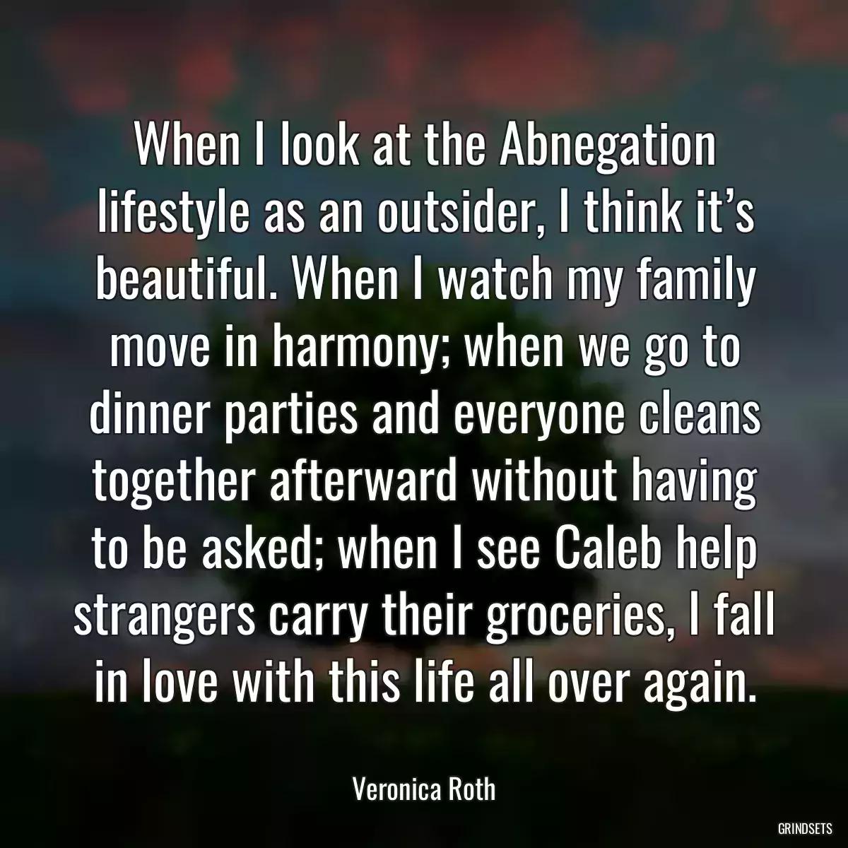 When I look at the Abnegation lifestyle as an outsider, I think it’s beautiful. When I watch my family move in harmony; when we go to dinner parties and everyone cleans together afterward without having to be asked; when I see Caleb help strangers carry their groceries, I fall in love with this life all over again.