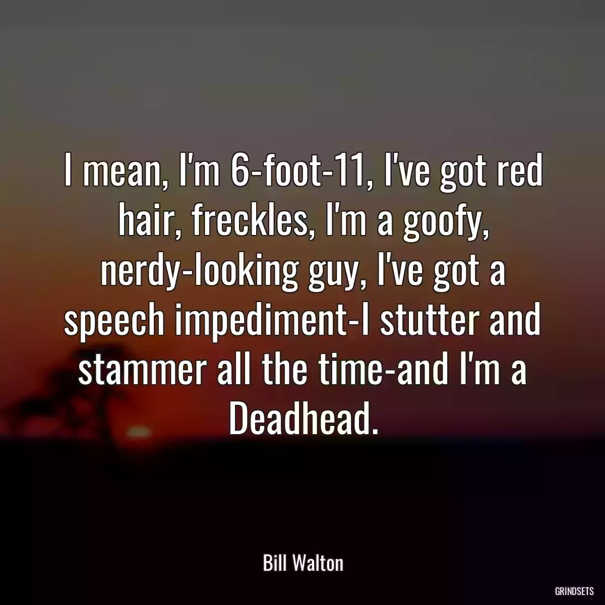 I mean, I\'m 6-foot-11, I\'ve got red hair, freckles, I\'m a goofy, nerdy-looking guy, I\'ve got a speech impediment-I stutter and stammer all the time-and I\'m a Deadhead.